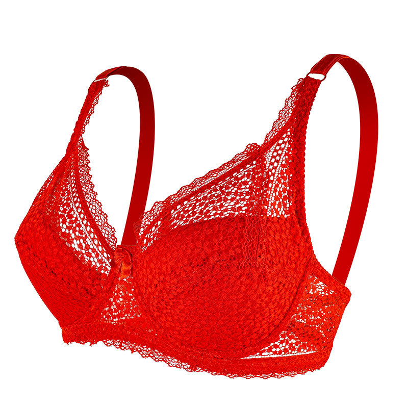 Large Breasts Lace Plus Size L – Cotton Bra Everyday Bewertung und Preis